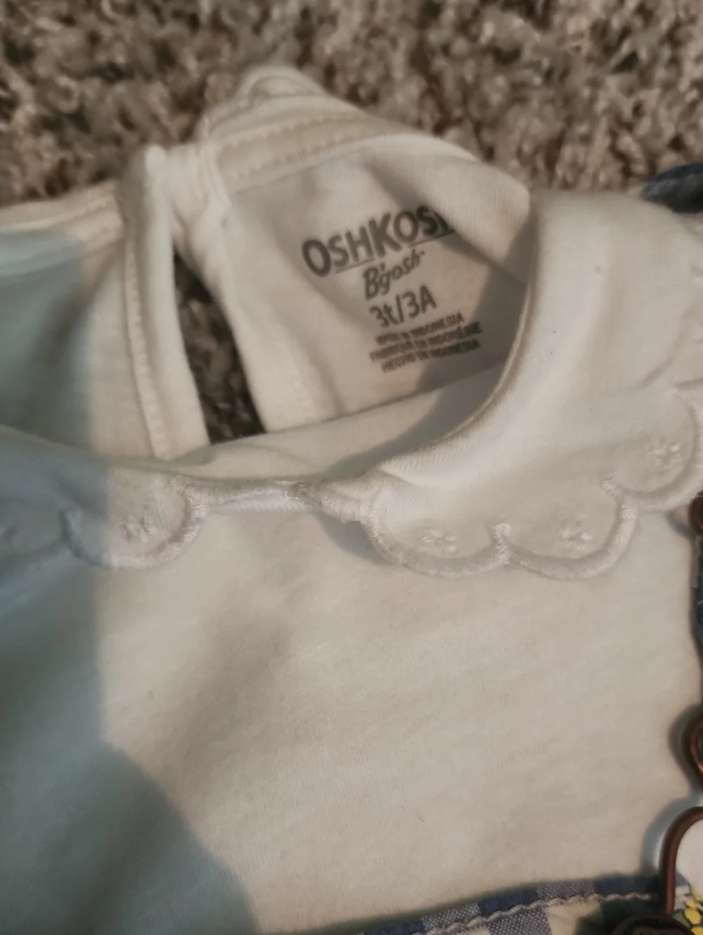 OshKosh Bgosh this pair